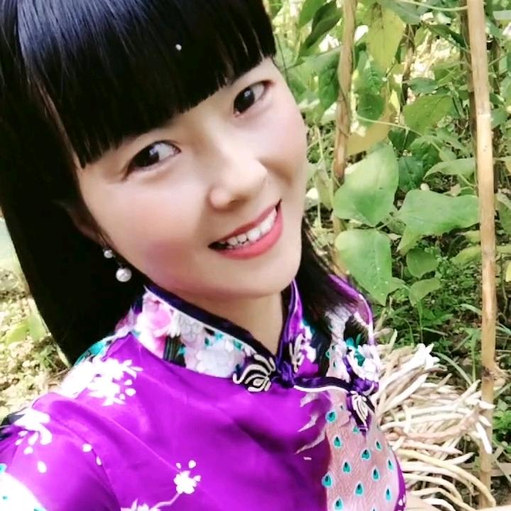 琴琴（首播筹备中）