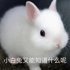绿动