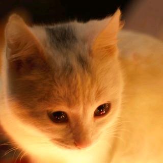 生活！