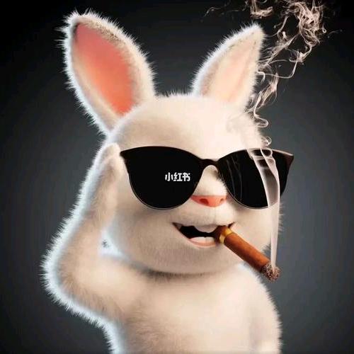 用户不存在
