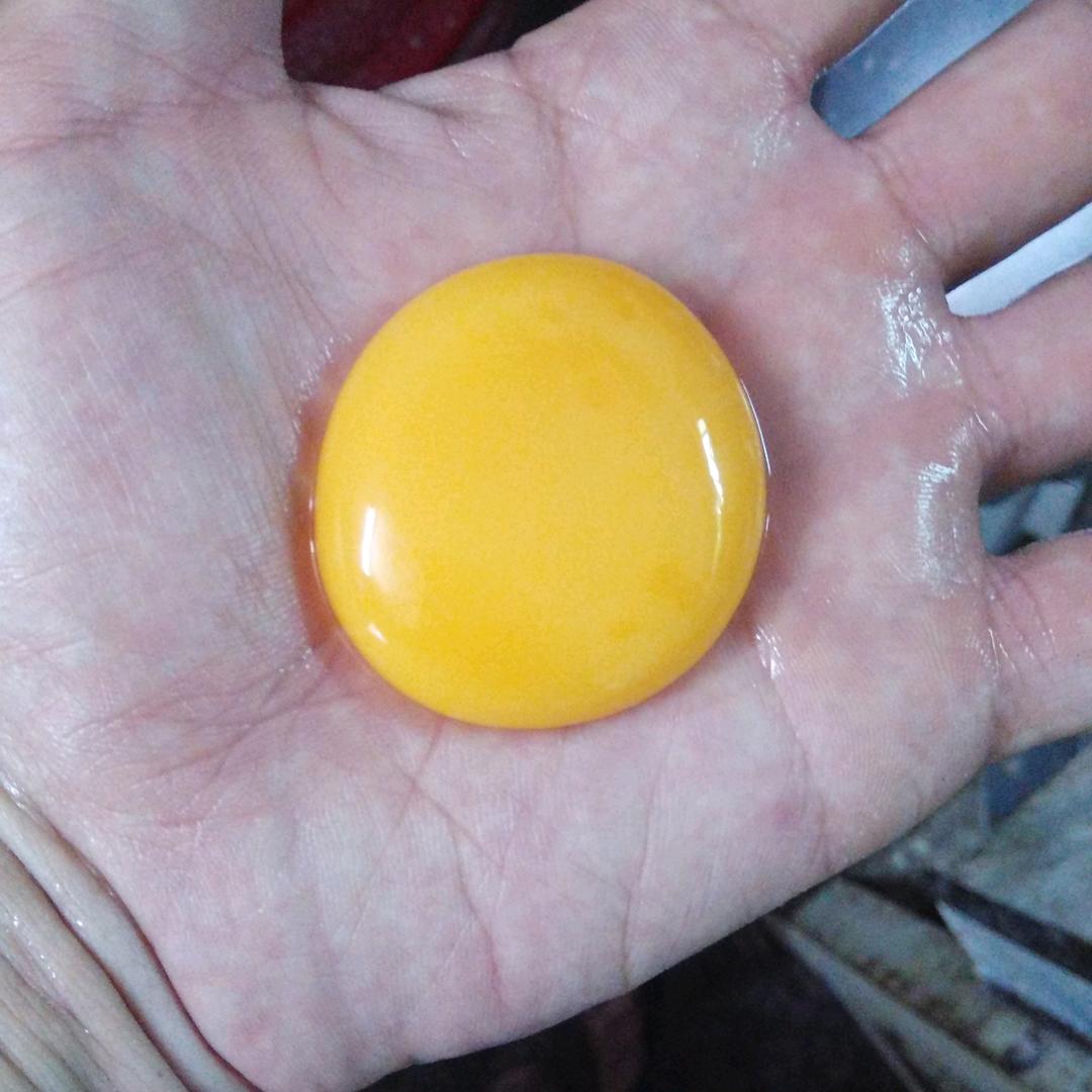 一家欢