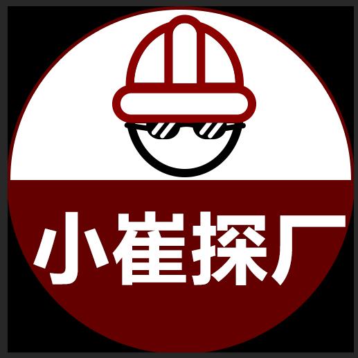 小崔探厂