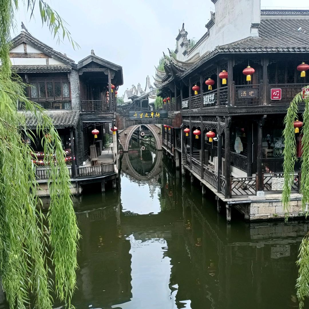 生龙活虎小马驹