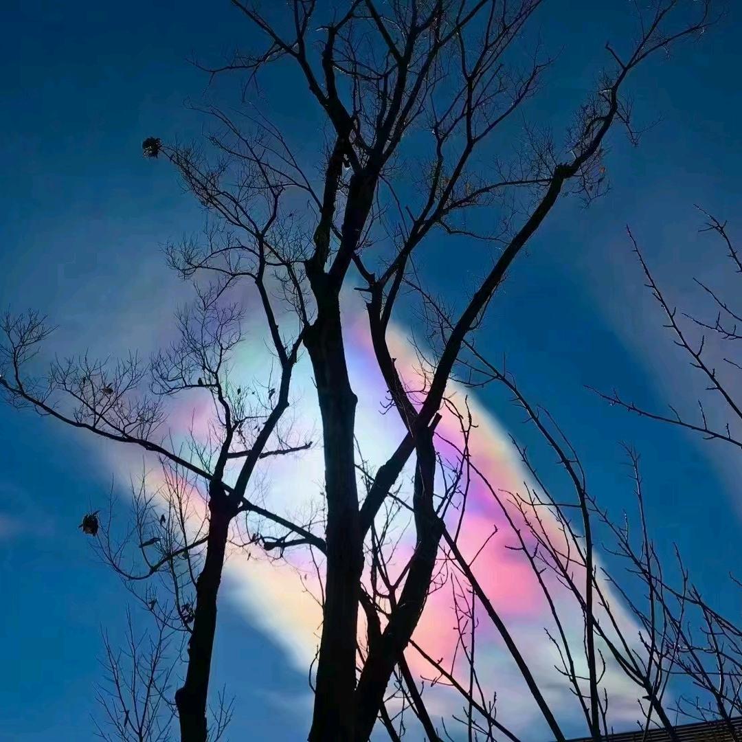 玩的就是心跳
