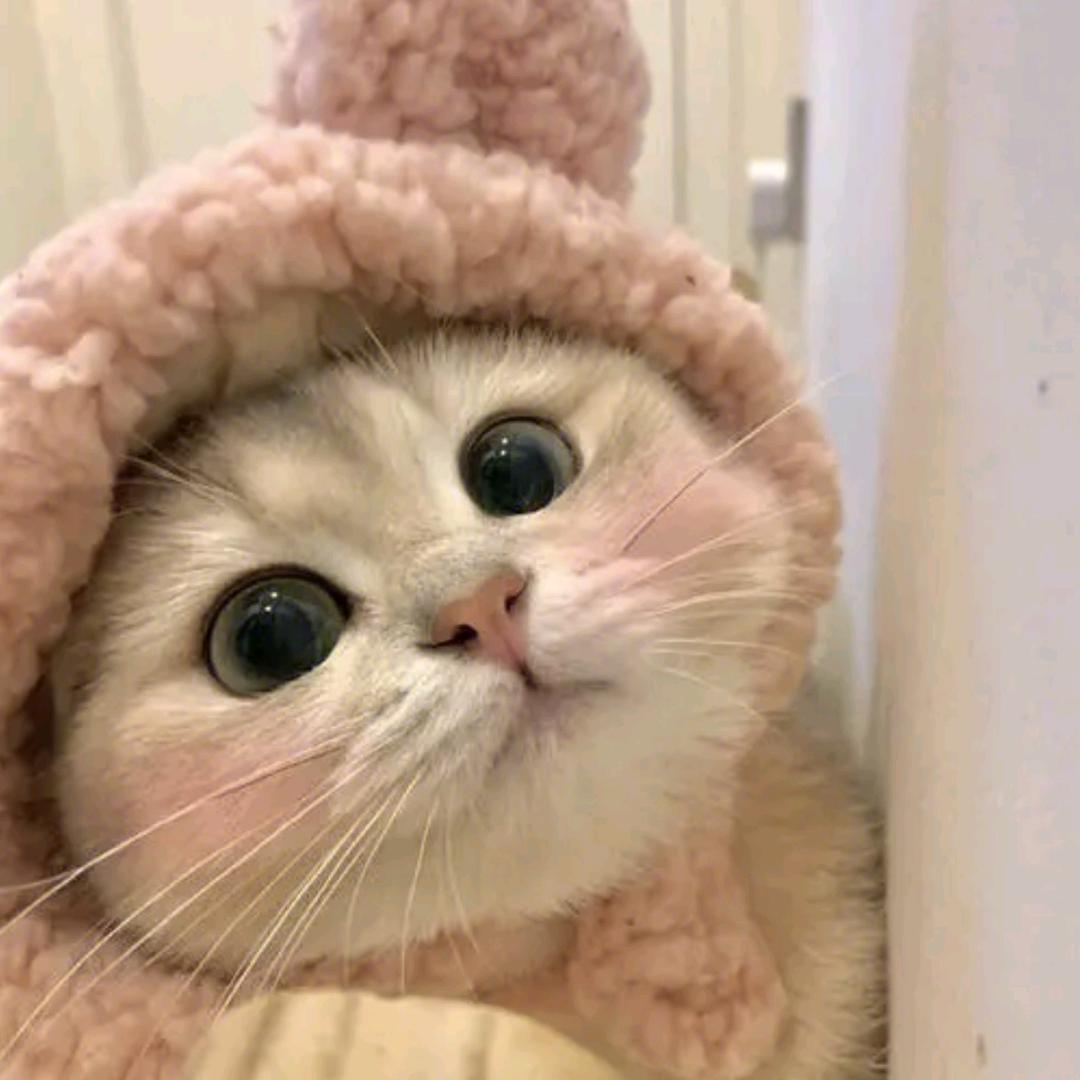 可可不西里