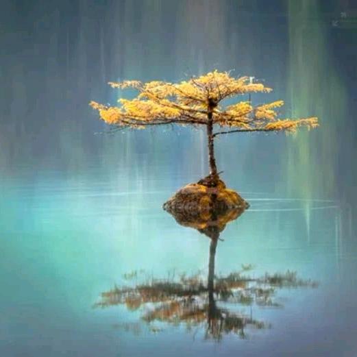 云晨洛曦