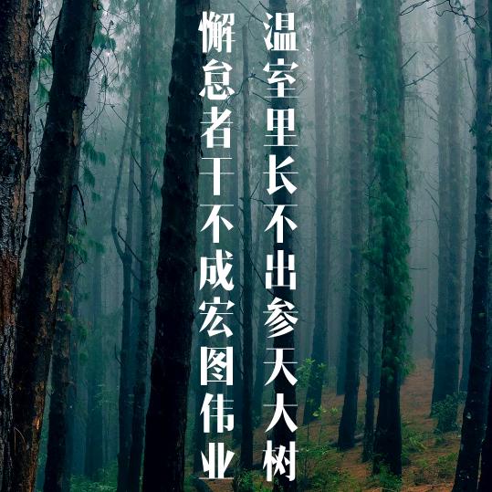会画画的村