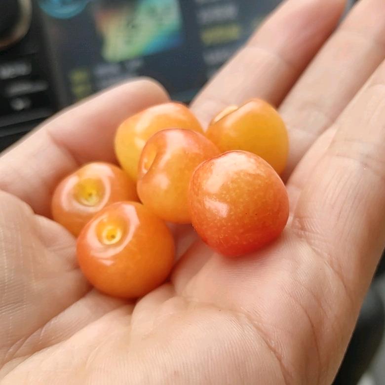 你懂得……