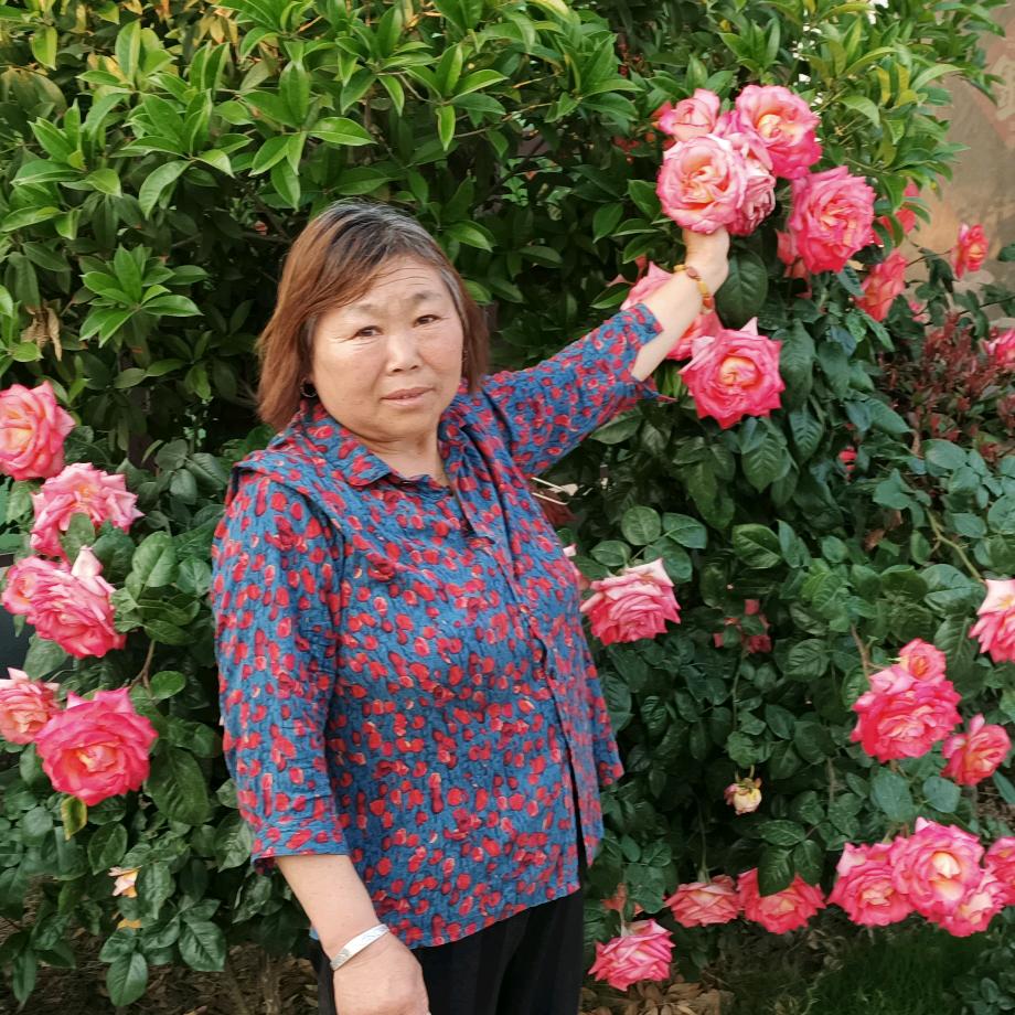 春风得意