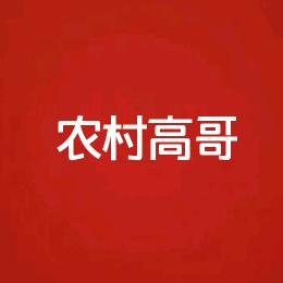 农村高哥