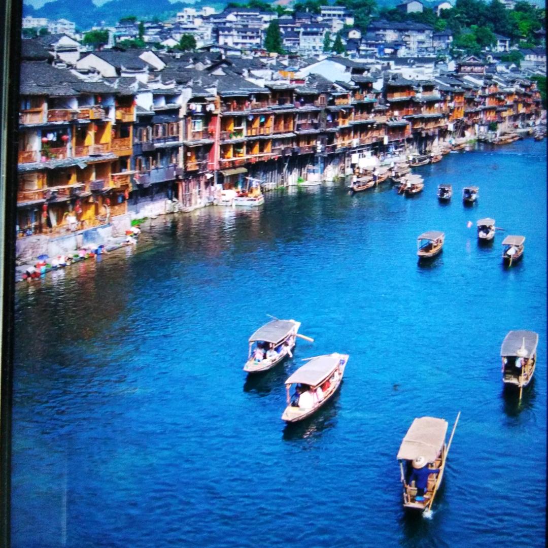 毕竟西湖六月中🌙映月梅花别样红6⃣月