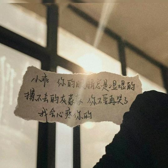 莫莫莫