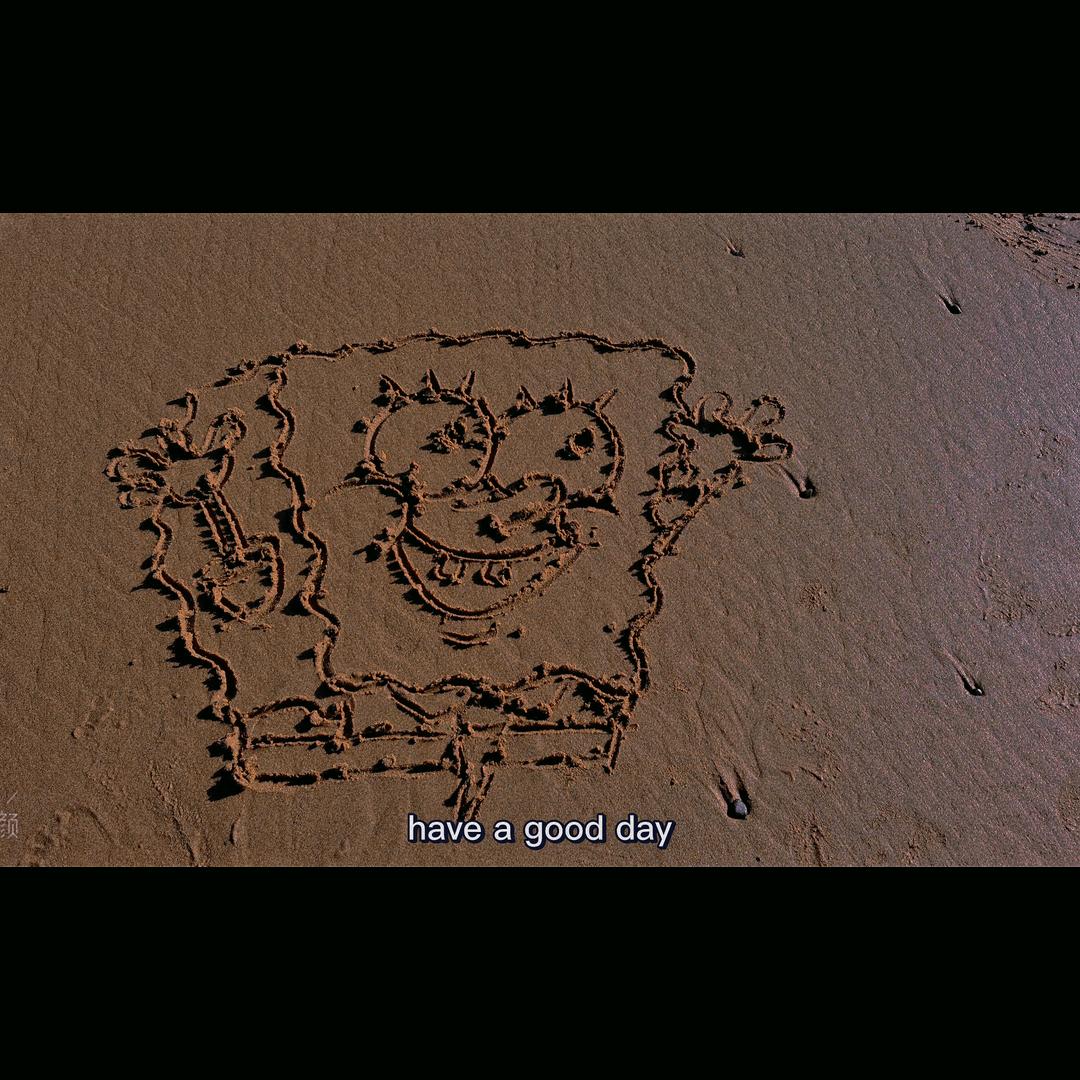 wkk骆驼🐫
