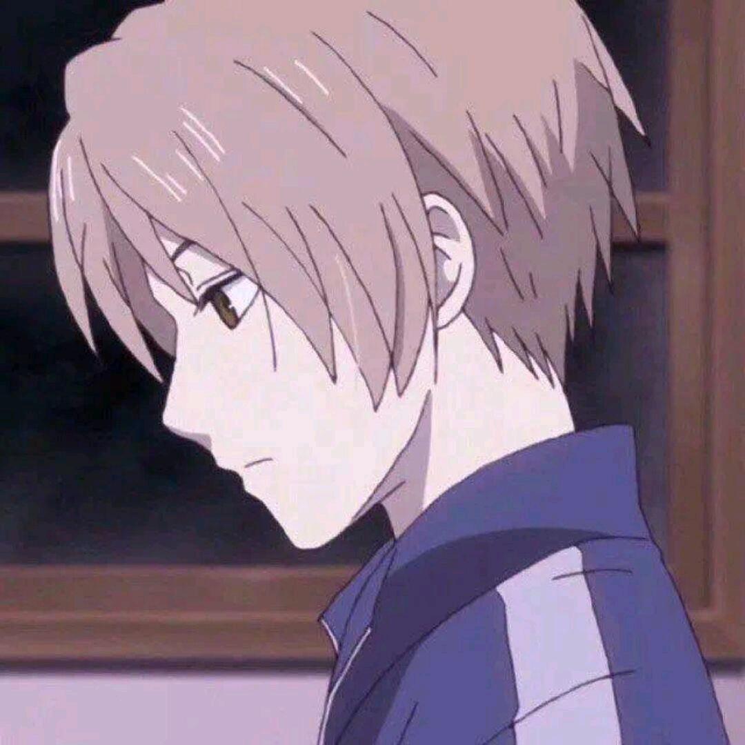 🌈东方树叶我的爱