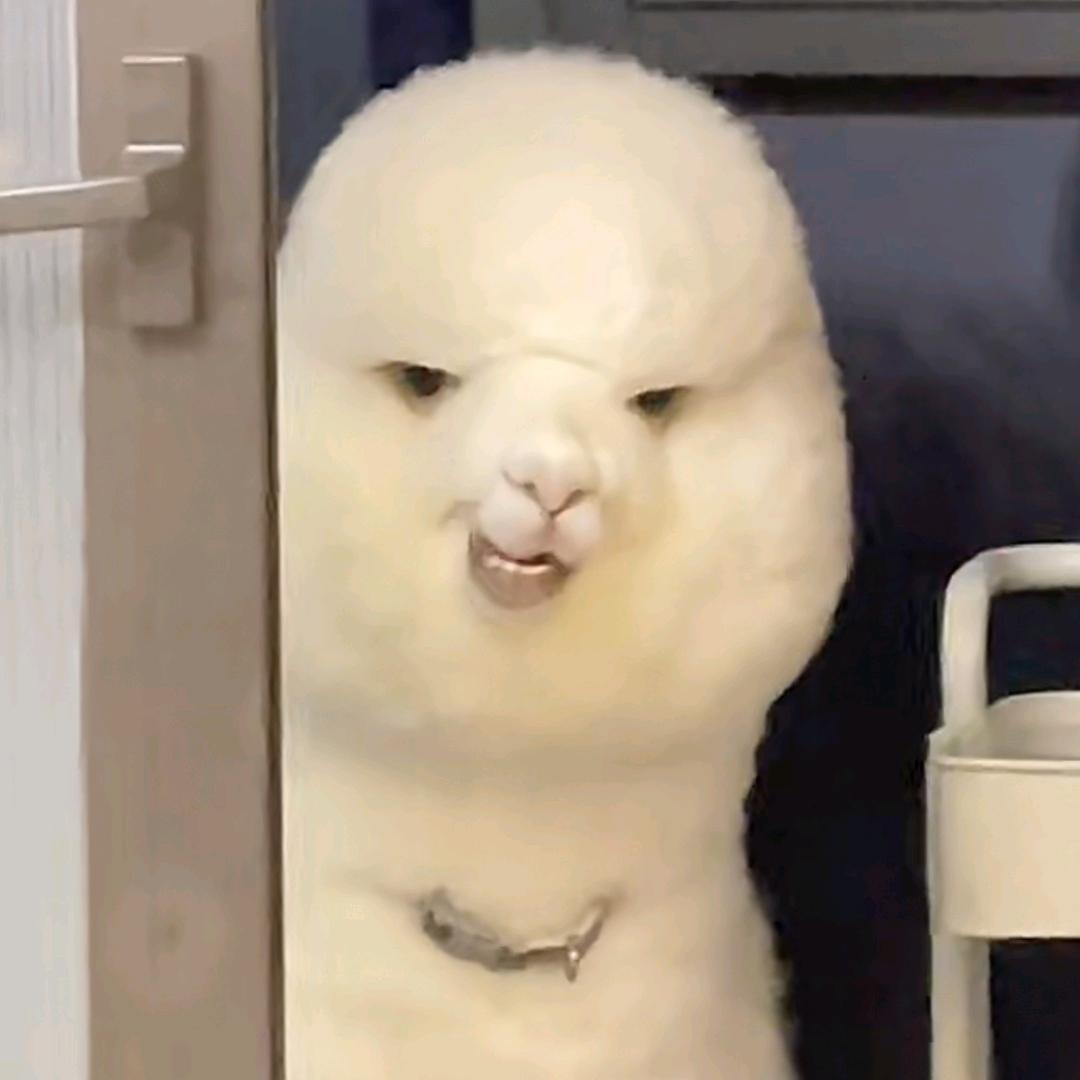 麻辣烫不要麻辣