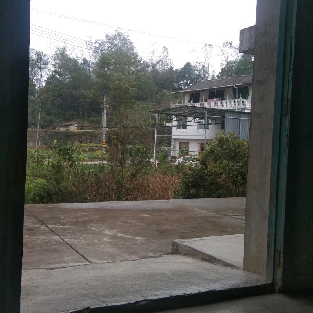 忘常玖悦