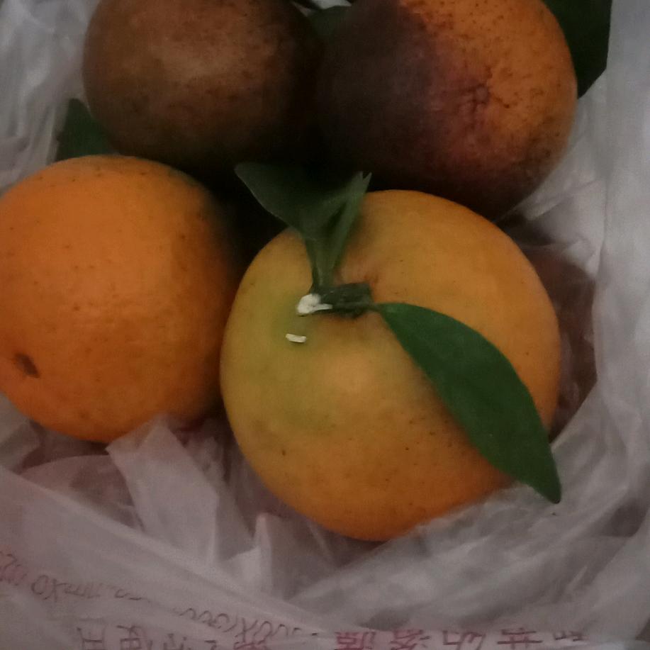 进结镇初级中学
