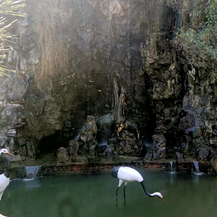 白天不懂夜的黑