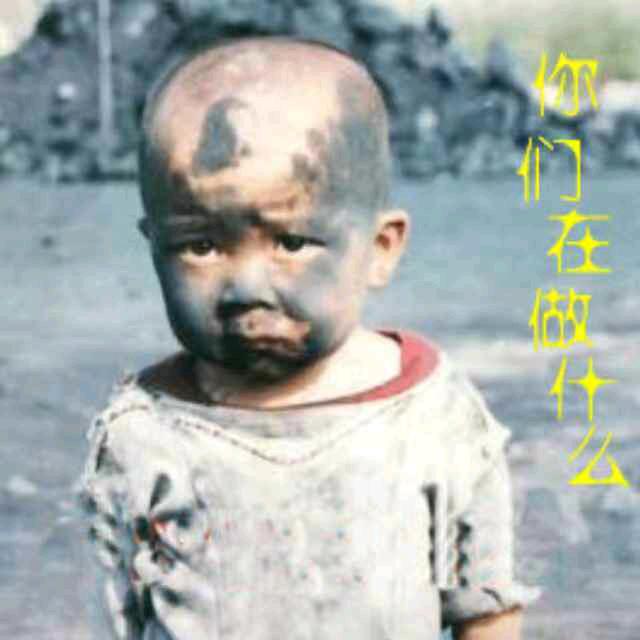 不再流浪