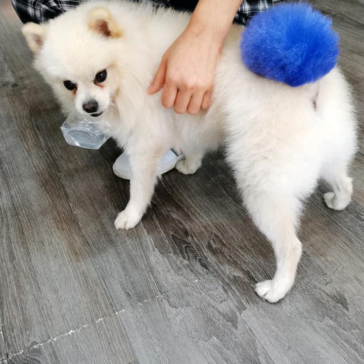 快乐幸福的幸运星