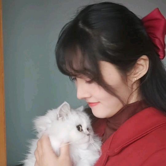 ゅ吴🉑代替ゅ