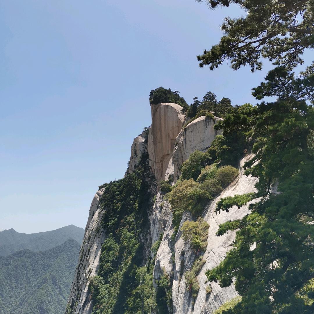 糊涂
