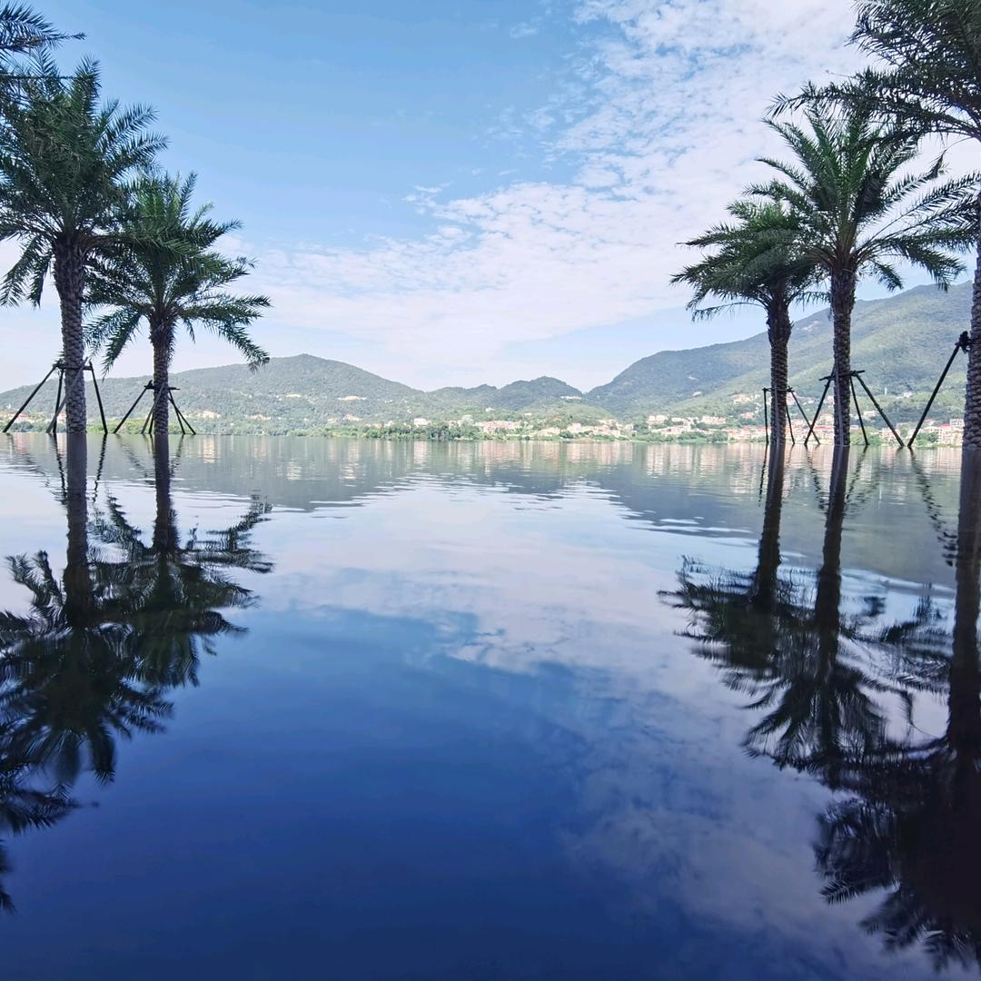 厦门｜上景造园