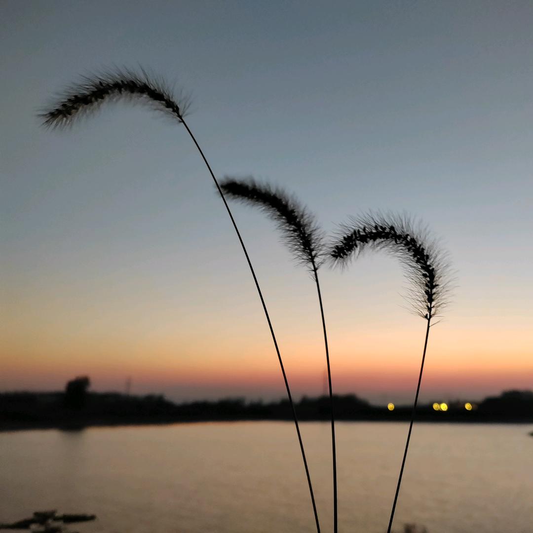 王峰
