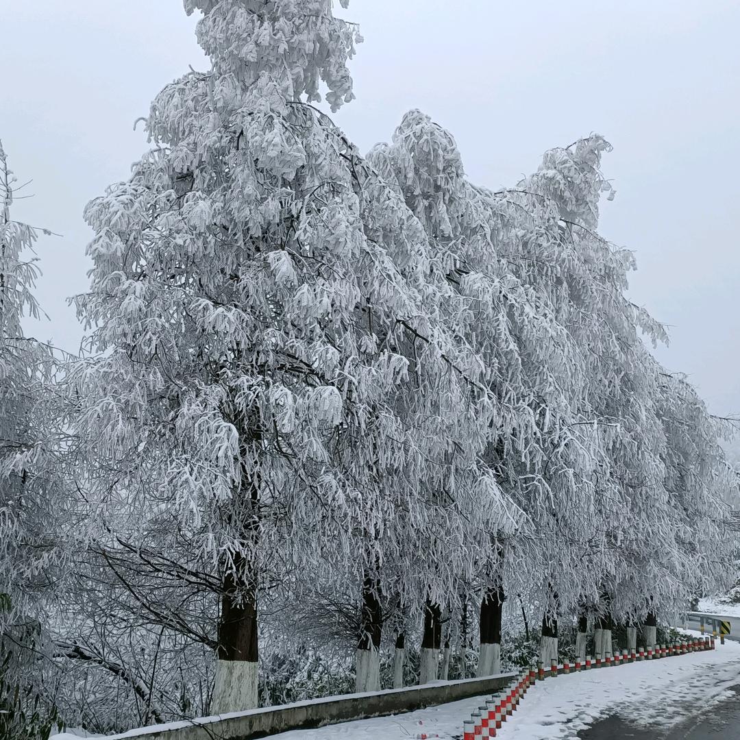 爱你一万年！