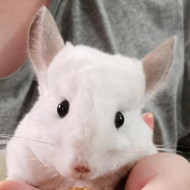 啦啦啦啦啦啦啦啦