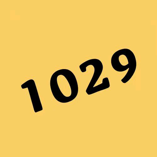 1029影视
