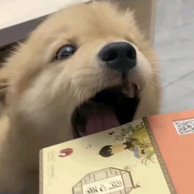 你做的什么都好吃