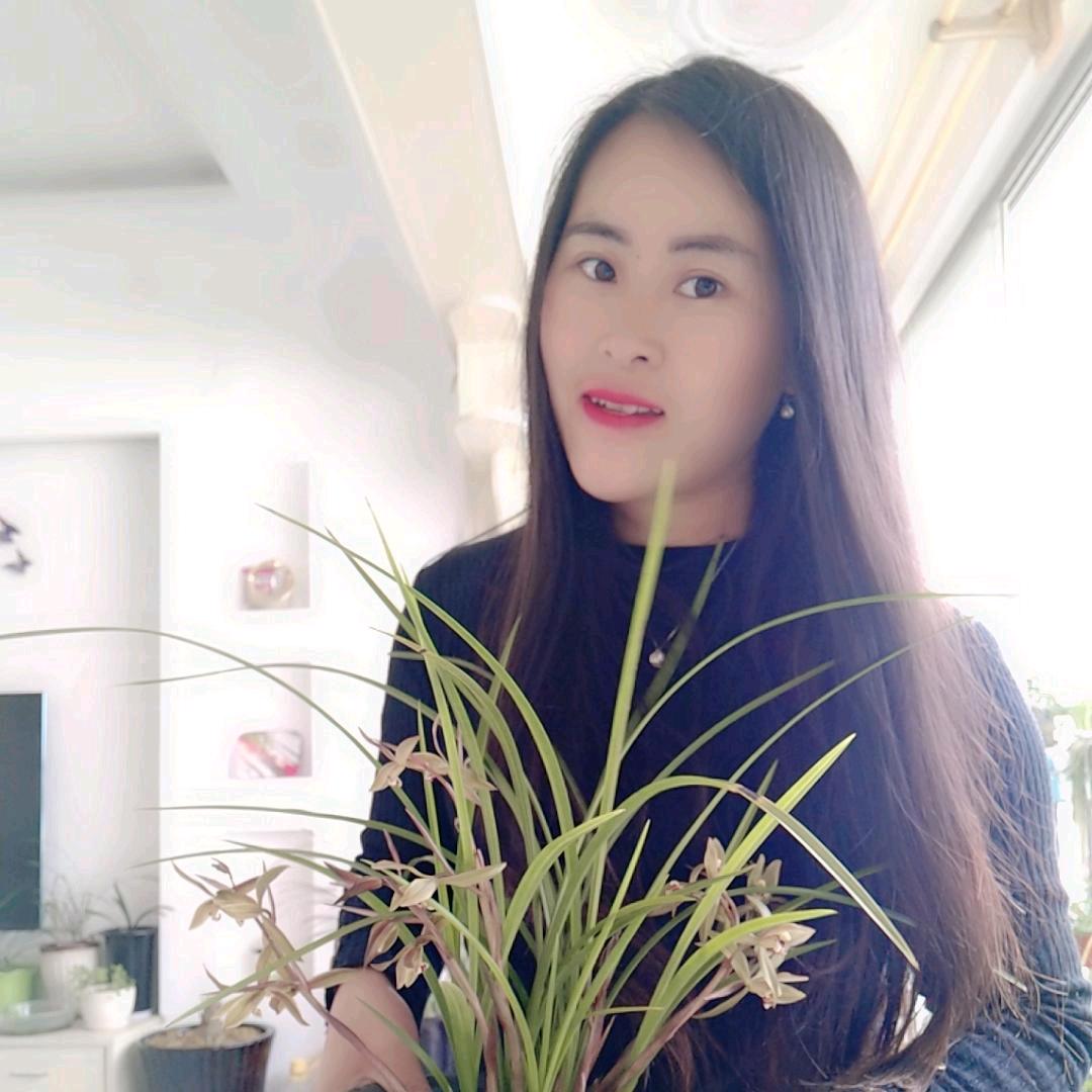 钓鱼妹（小韩）