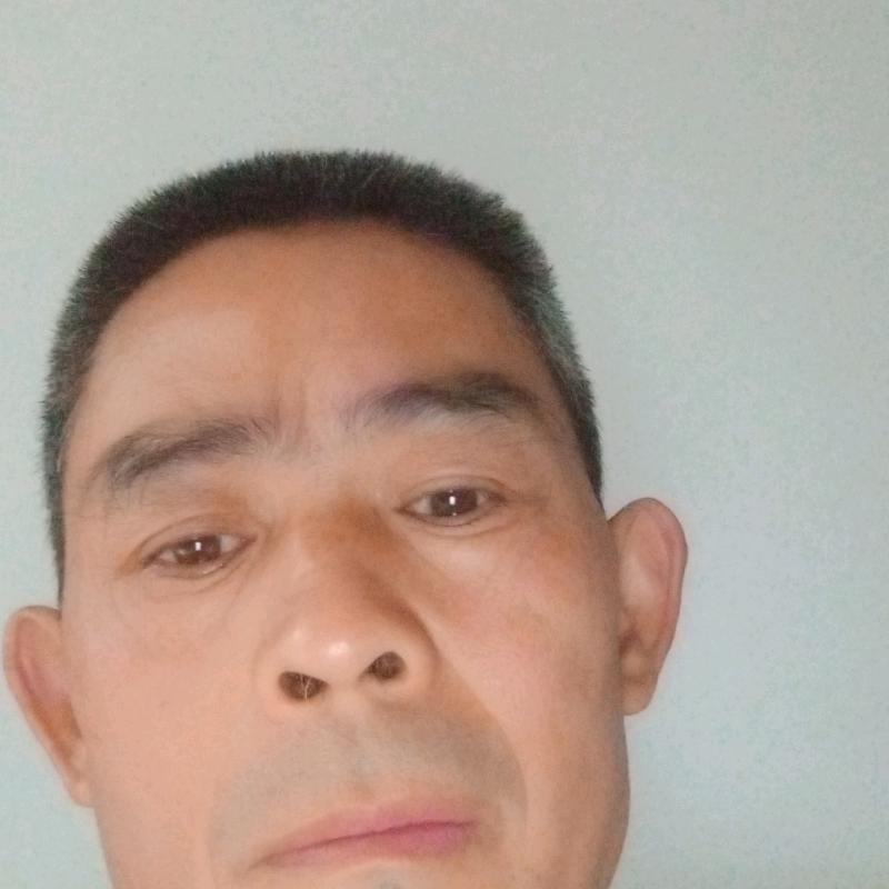 辉哥
