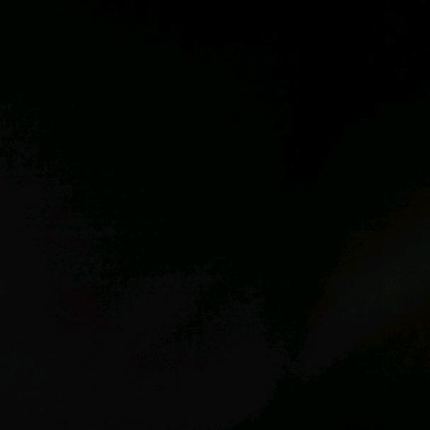 霸气王者
