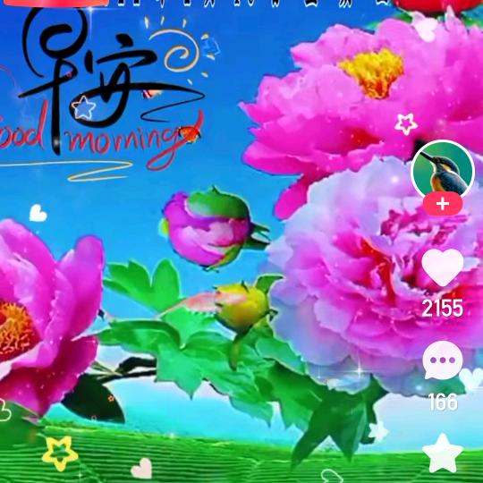 用户桃2666402030963