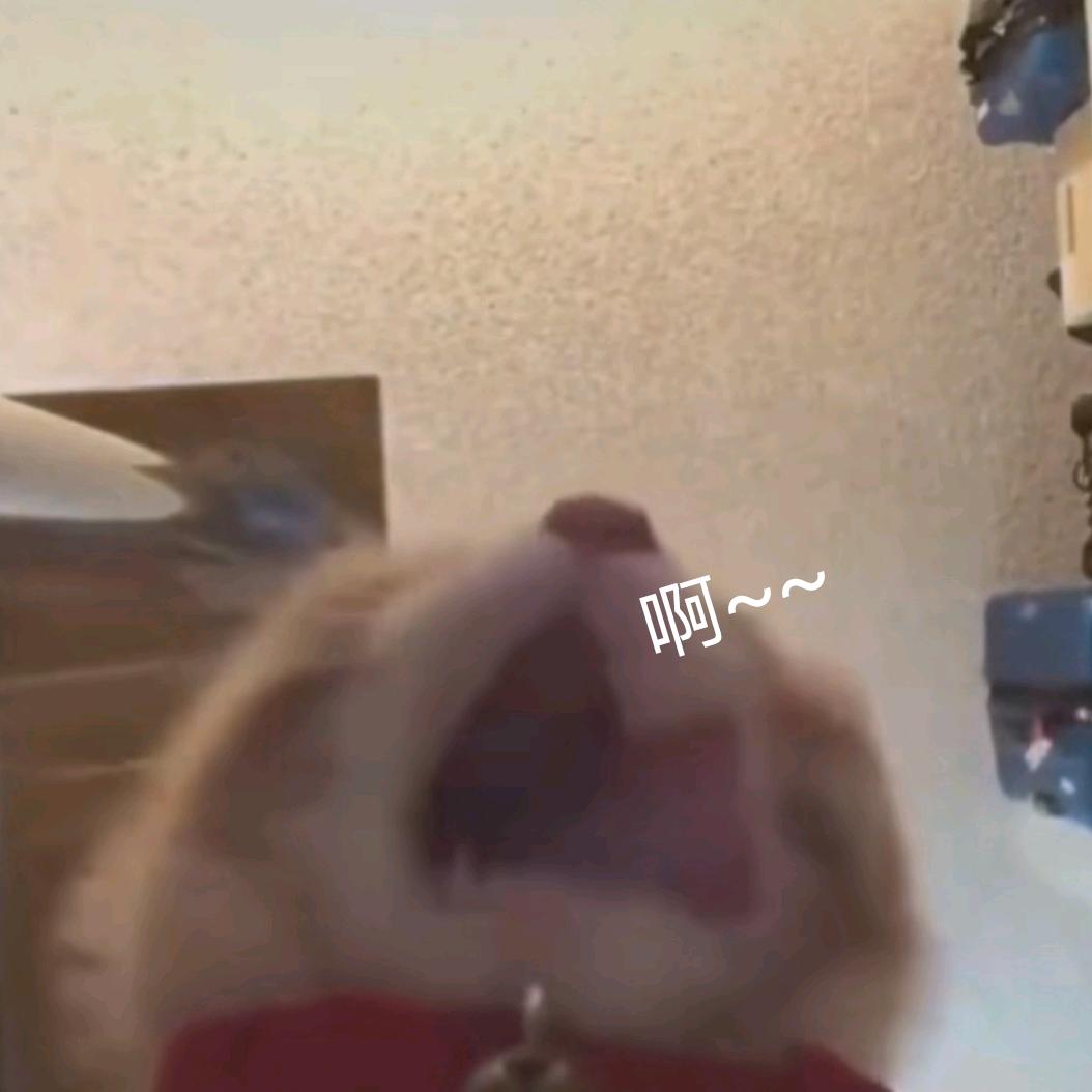 小鬼飞飞