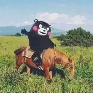 熔炼埋弧焊剂HJ431HJ260