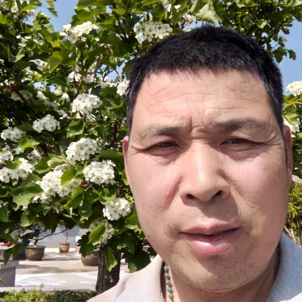 老孙