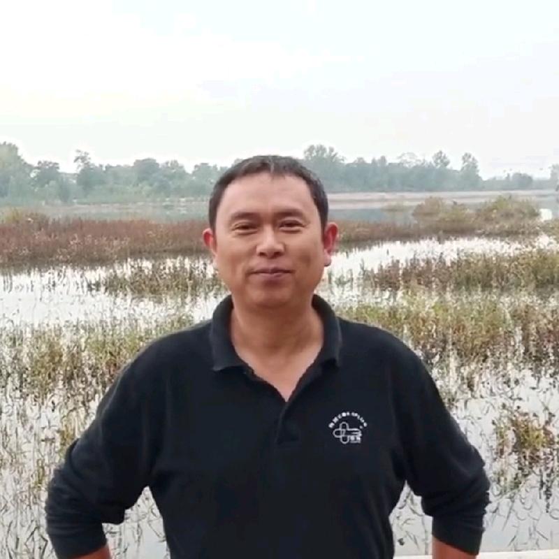 天蓬元帅