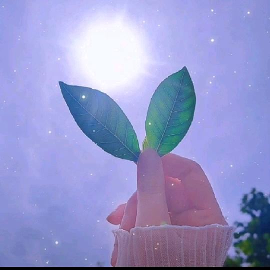 每一天开心