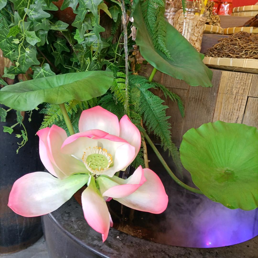 周运贤