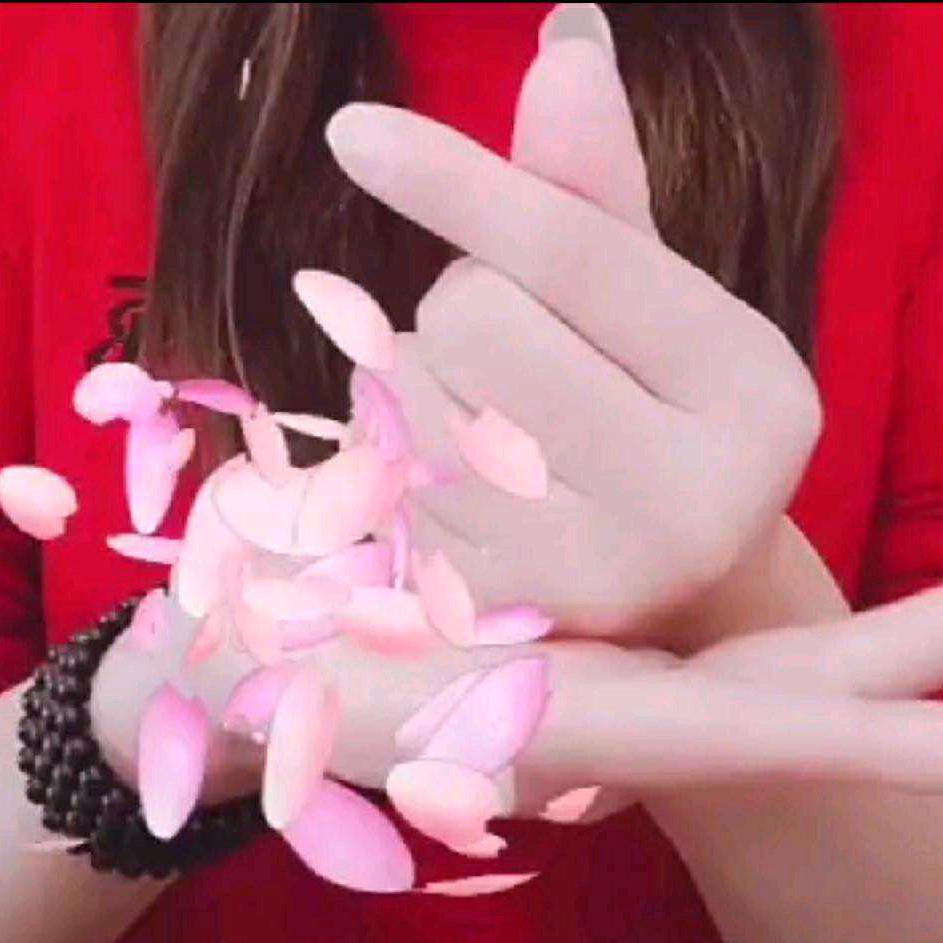 一世繁华