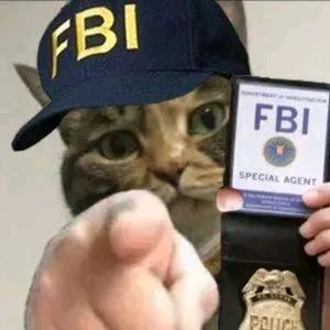 嫩哒╭ᰩ ᭄╮