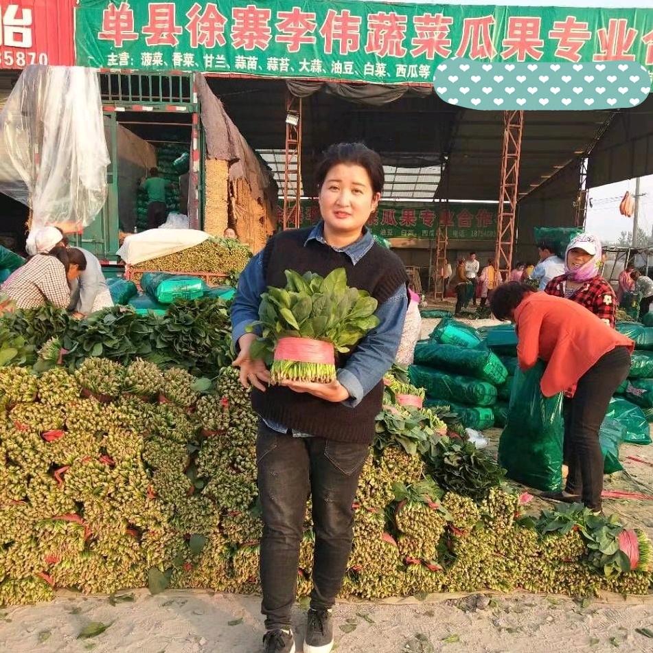 山东单县蔬菜姐刘凤小号