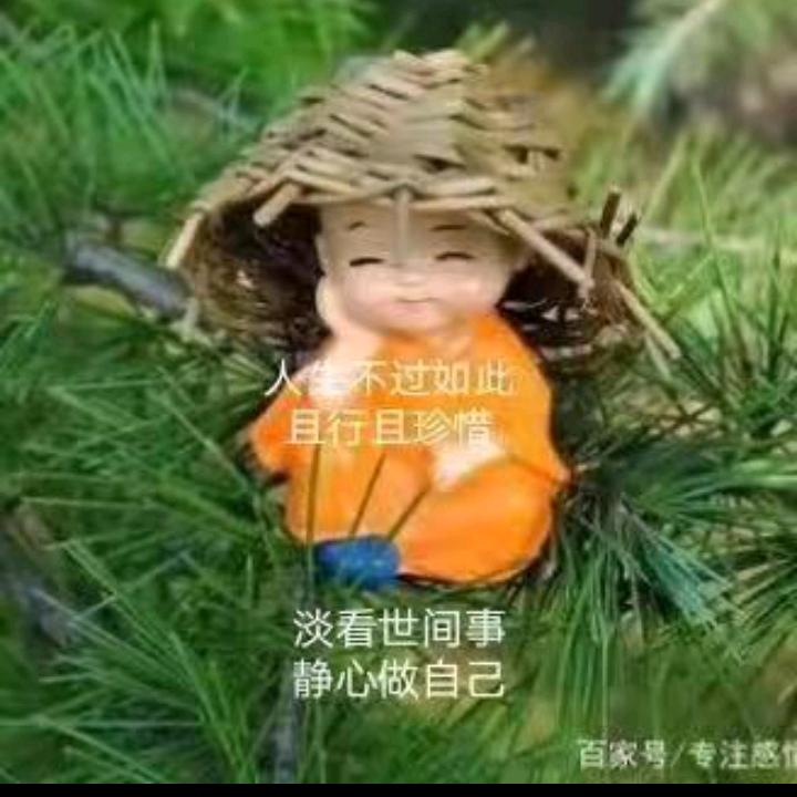 都挺好