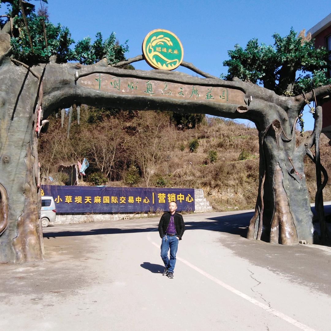 刘小康