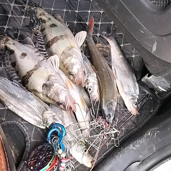 我要哦泡哦哦哦