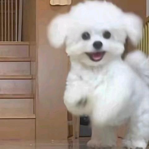 宿酥