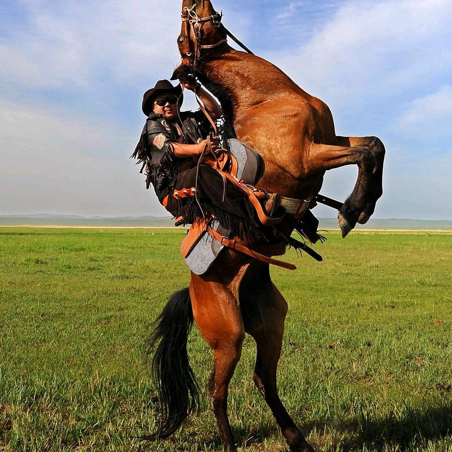 草原烈马🐴